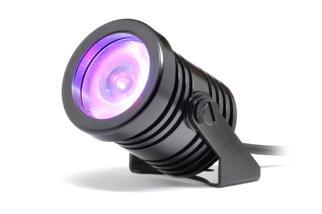 specialist spotlights 1