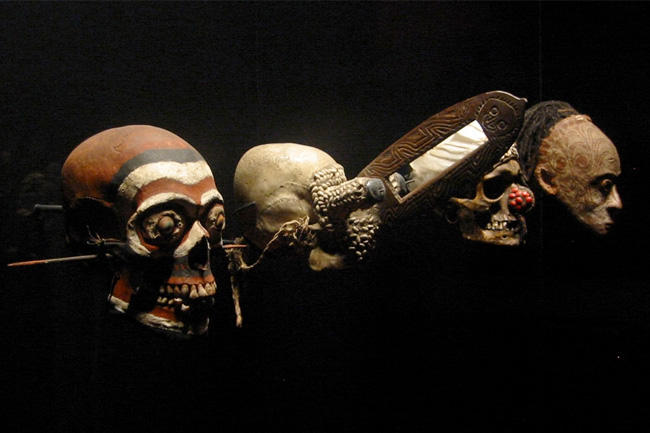 specialist spotlights 1