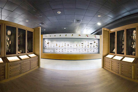 specialist spotlights 1