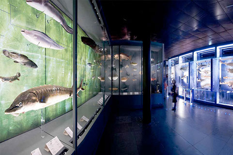 specialist spotlights 1