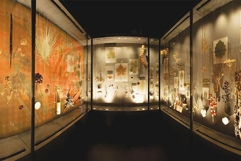 specialist spotlights 1