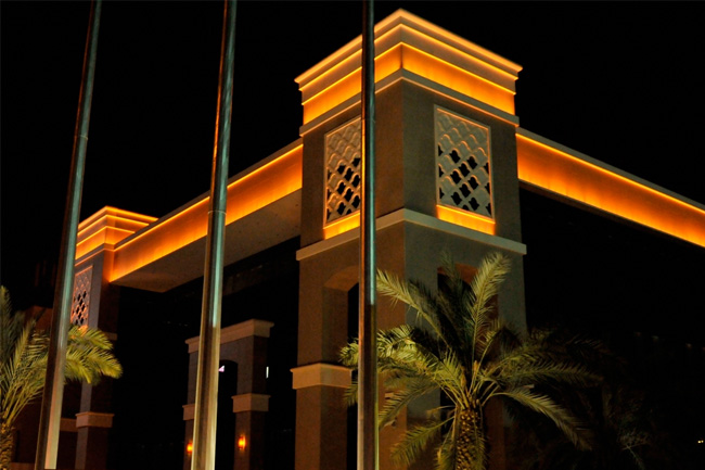 specialist spotlights 1