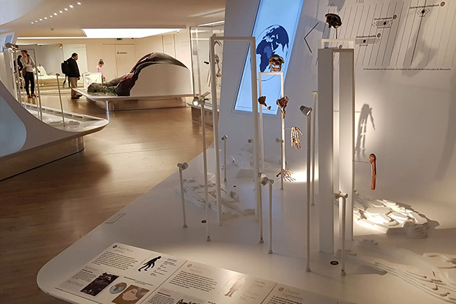 specialist spotlights 1