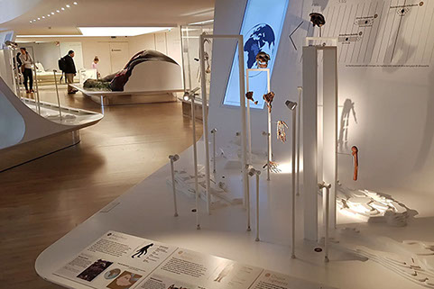 specialist spotlights 1