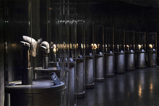 specialist spotlights 1