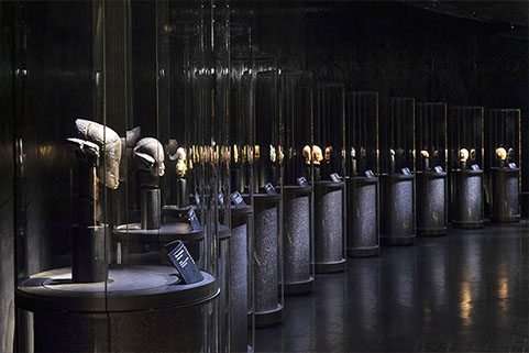 specialist spotlights 1