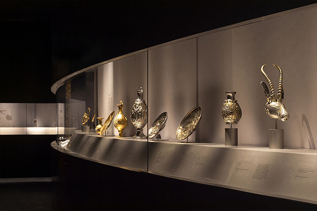 specialist spotlights 1