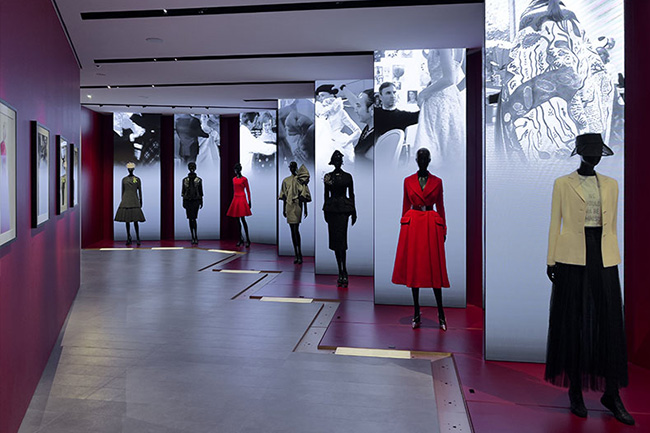 specialist spotlights 1