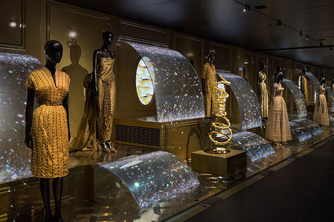 specialist spotlights 1