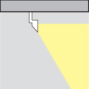 specialist spotlights 1