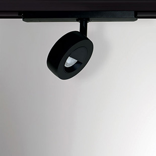 specialist spotlights 1