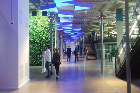 indoor concrete light fittings ceiling